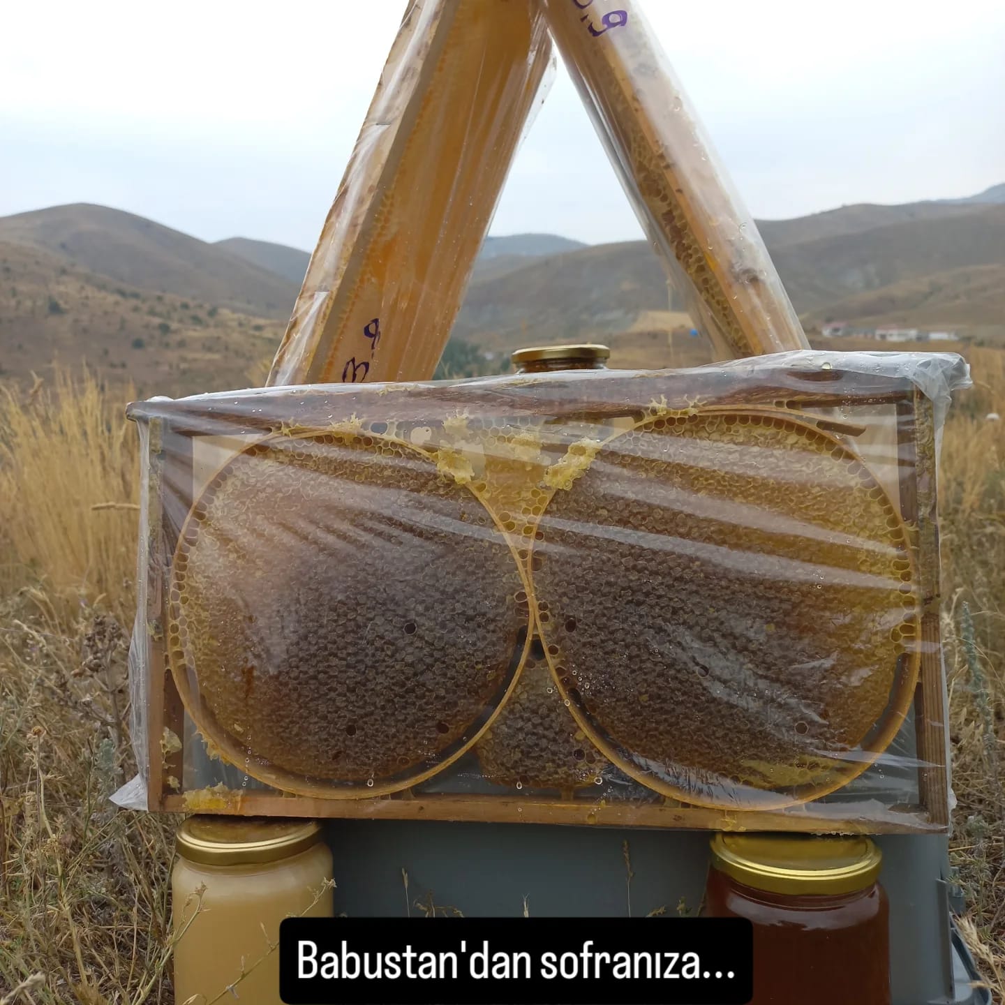 Babustan Bal
